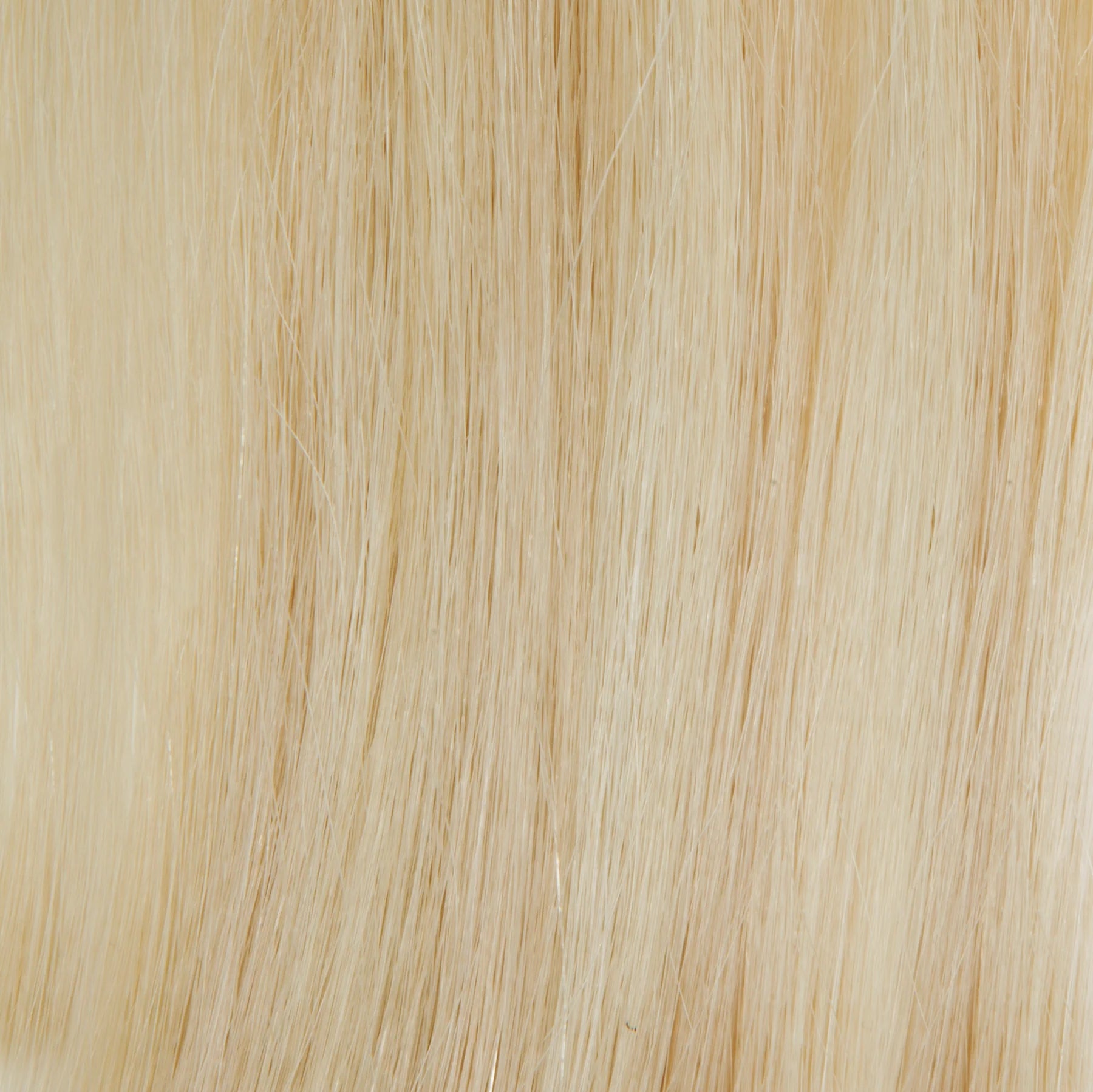csP.101_1800x1799_3b34be34-7965-4259-89c8-0c24fd455f03